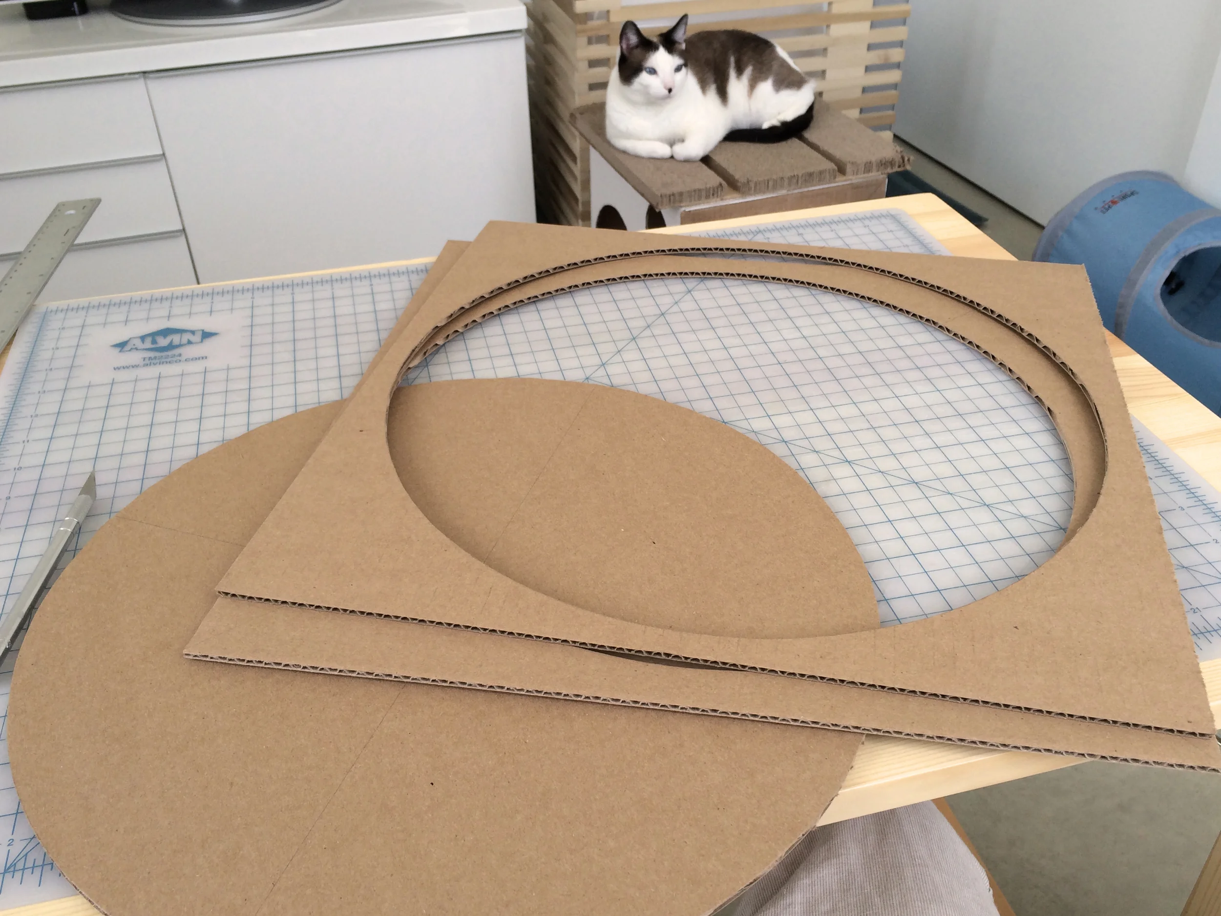 Cardboard cat top scratcher bed